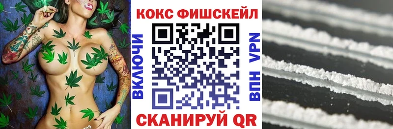 как найти наркотики  Приморск  КОКАИН Эквадор 