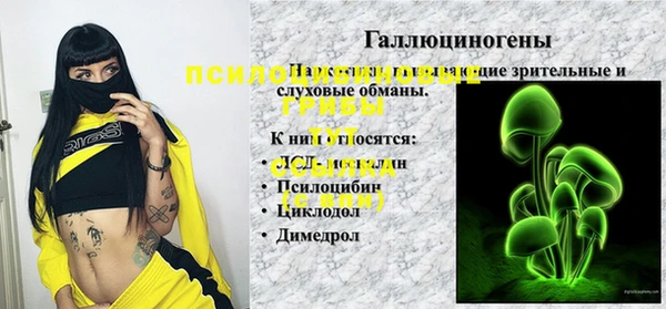 МДПВ Армянск