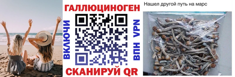 кракен как зайти  Приморск  Галлюциногенные грибы мухоморы 